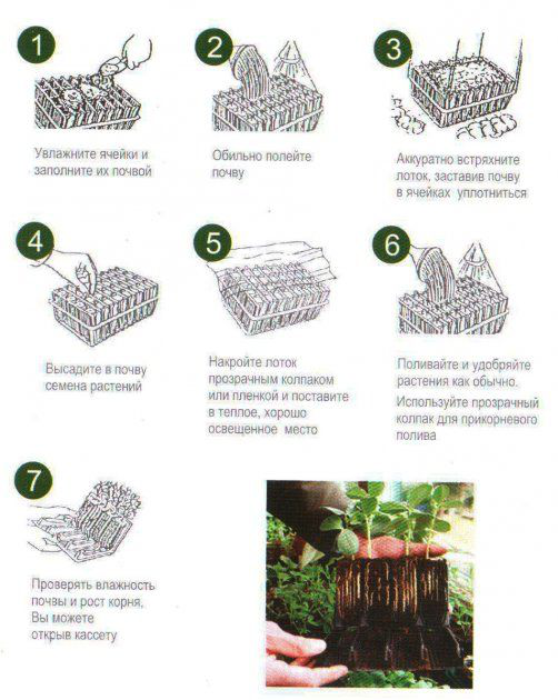 Касетна система для розсади на 20яч. 8