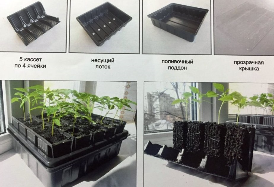 Инновационная кассетная система для рассады на 20 ячеек 6