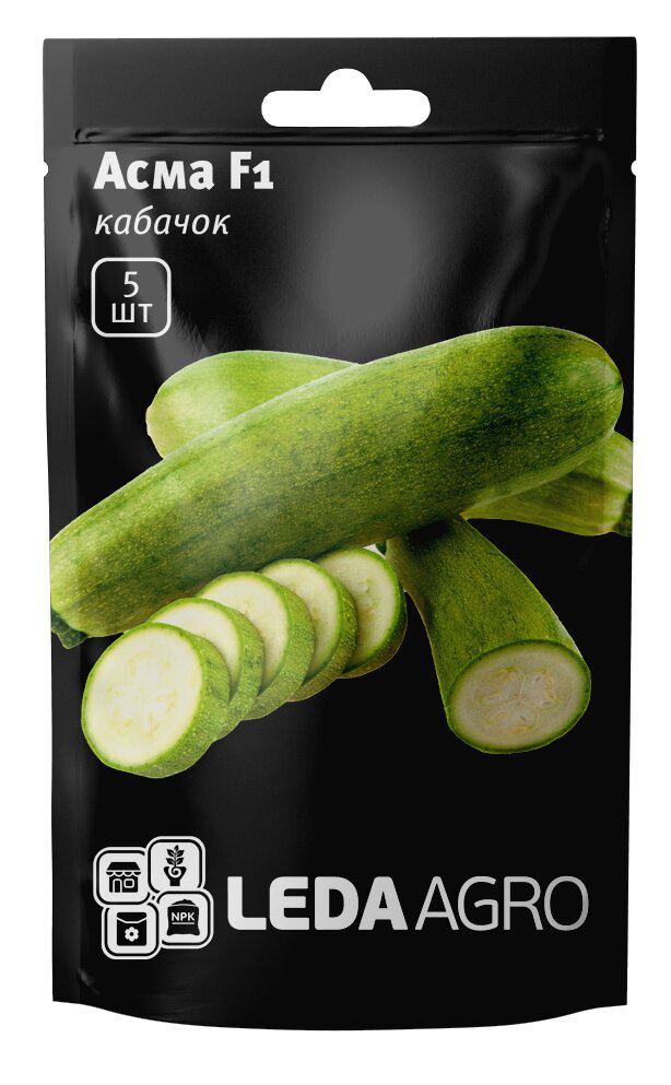 Семена кабачка раннего Асма F1, 5шт, Clause, Франция, семена Леда Агро 1