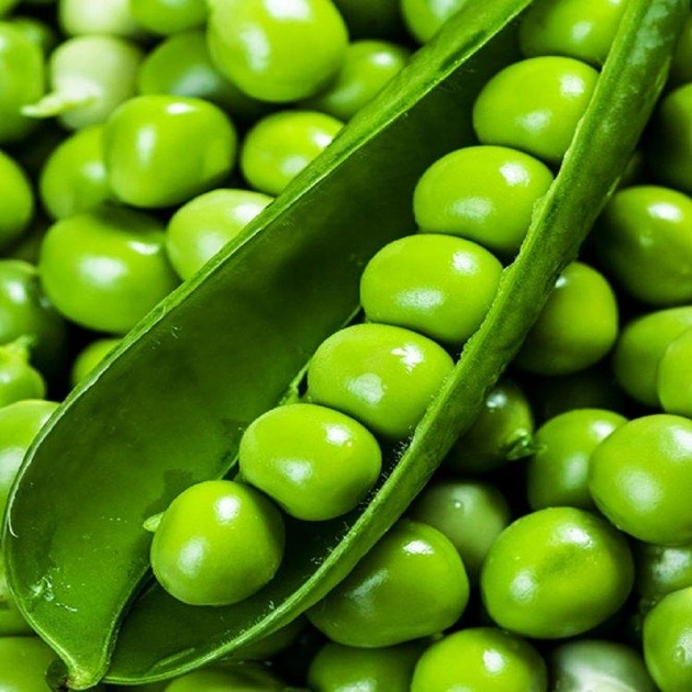 Семена гороха Преладо, 20шт, Syngenta, Голландия, семена Леда Агро 2