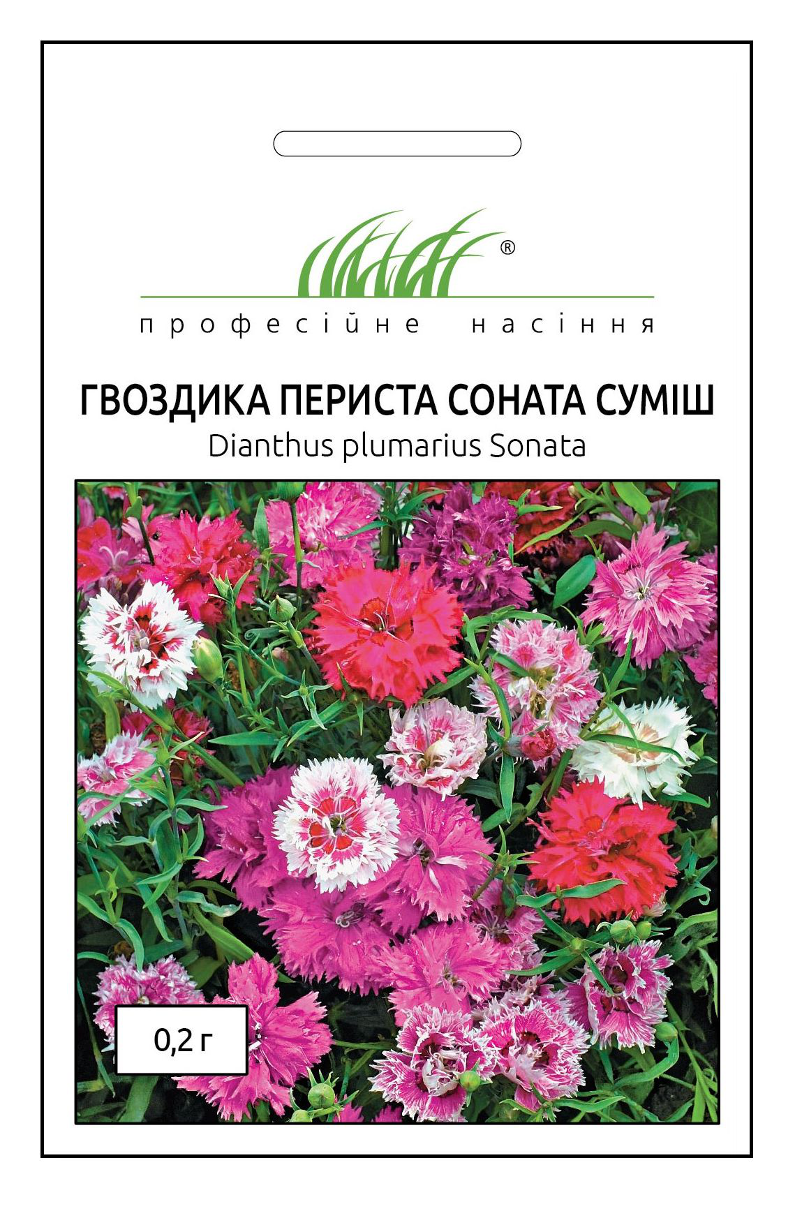 Семена гвоздики Соната смесь, 0.2 г, Hem, Голландия, Професійне насіння 1