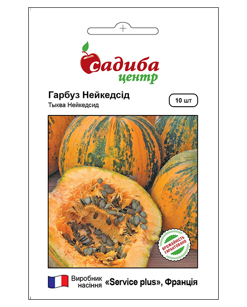 Семена тыква Нейкедсид, 10шт, GSN Semences, Франция, семена Садиба Центр 1