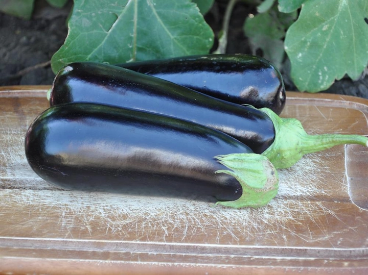 Насіння баклажана Анатолія F1, 10шт, Rijk Zwaan, Голландія, насіння Садиба Центр 2