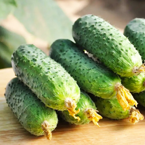 Насіння огірка Еліза F1, 50шт, Satimex, Німеччина, насіння Садиба Центр 2