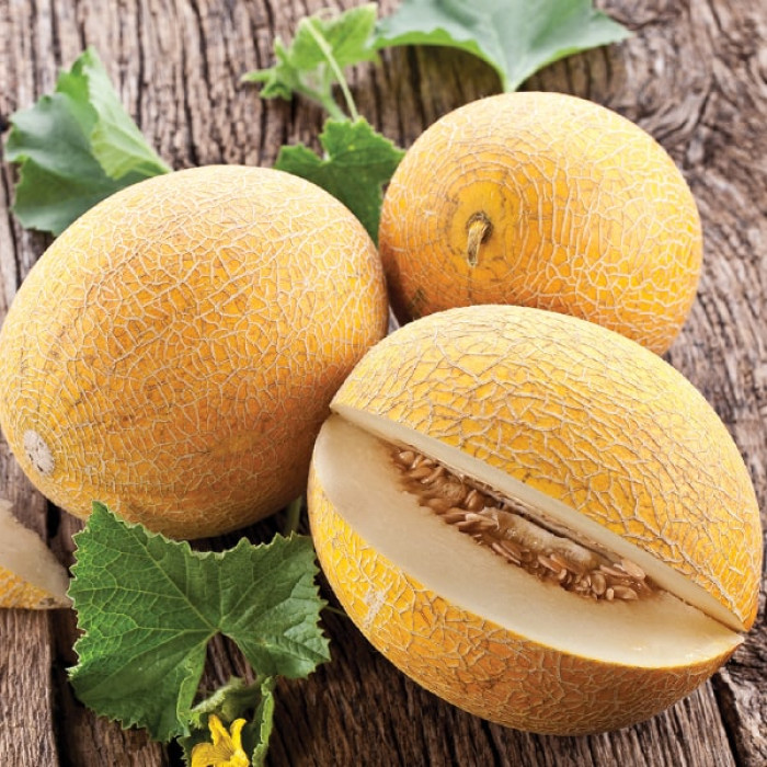 Насіння дині Кредо F1, 5шт, Clause, Франція, насіння Садиба Центр 2