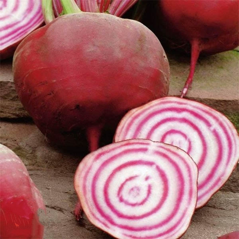 Насіння буряка Тонда ді Кьюжжа, 3 г, S.A.I.S. Spa, Італія, Beste Ker 2