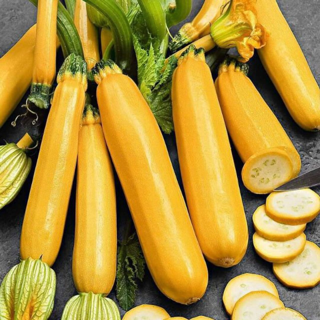 Семена кабачка Лемона F1, 5шт, Sakata, Япония, Beste Kern 2