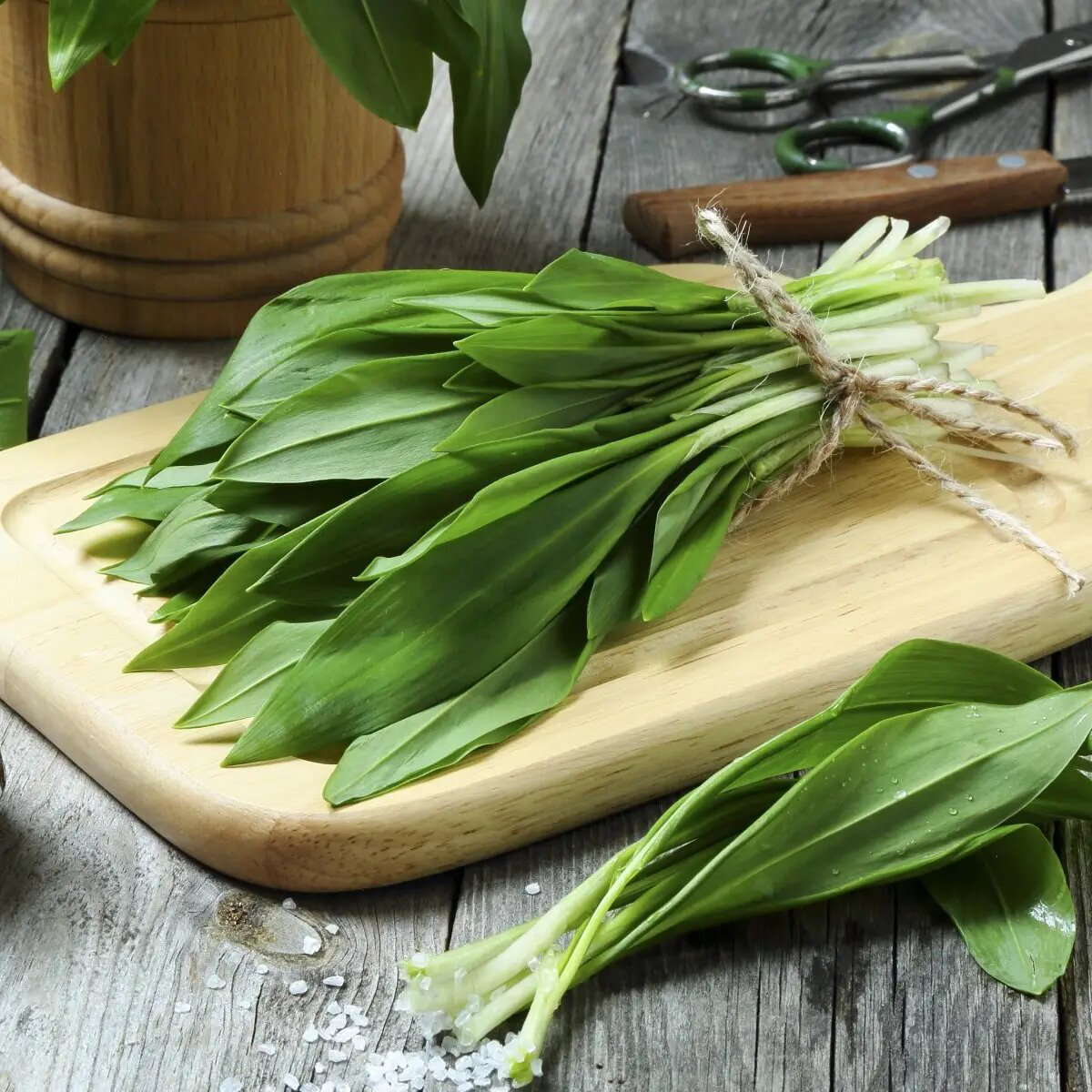 Семена Черемши, 0.3 г, Hem, Голландия, Професійне насіння 2