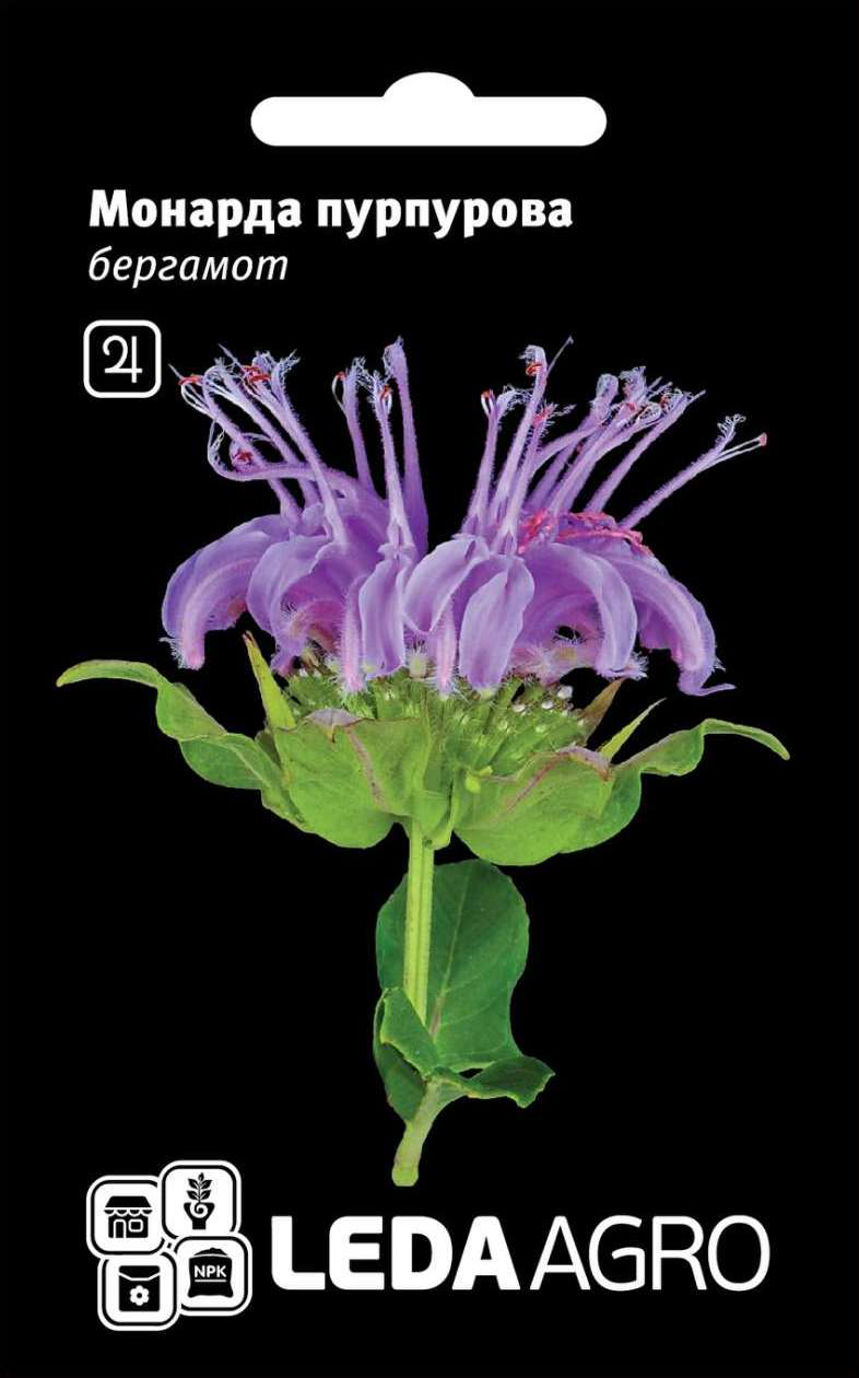 Насіння монарди пурпурової (бергамот), 0.3г, насіння Леда Агро 1