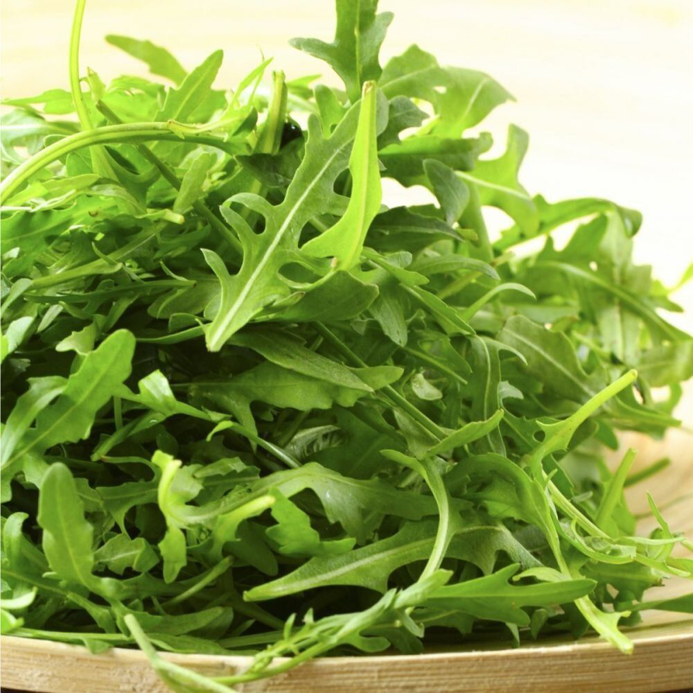 Насіння руколи Тріція, 0.3г, Enza Zaden, Нідерланди, Професійне насіння 2