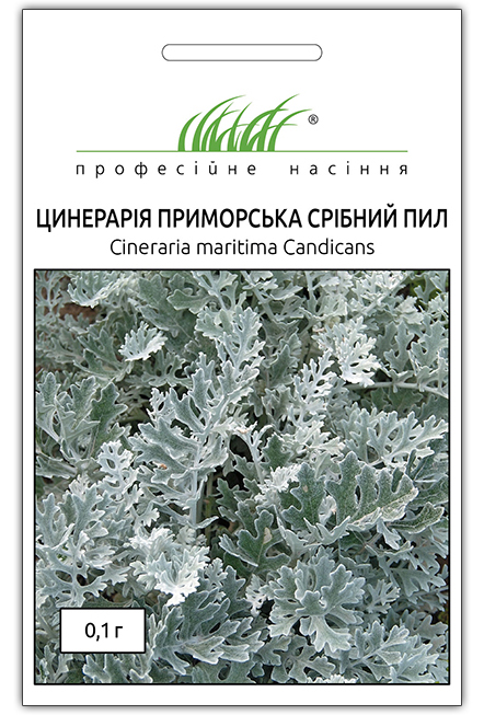 Семена цинерарии Серебряная пыль, 0.1г, Hem, Голландия, Професійне насіння 1
