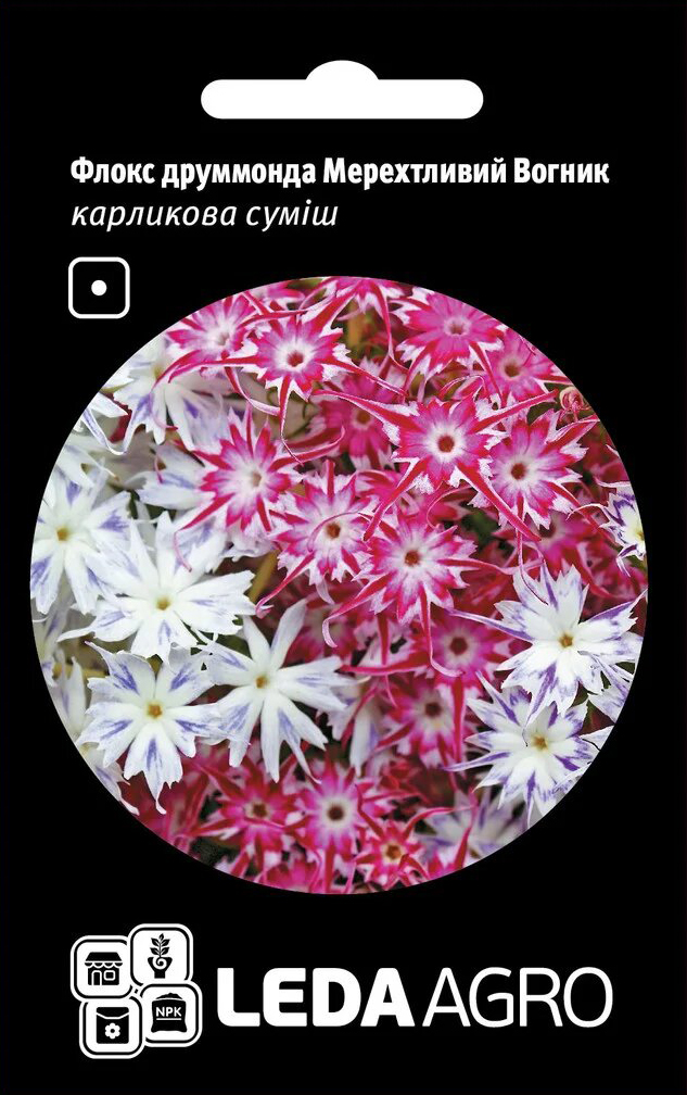Насіння флокса друмонди, Мерехтливий Вогник, 0,2 г, насіння Леда Агро 1