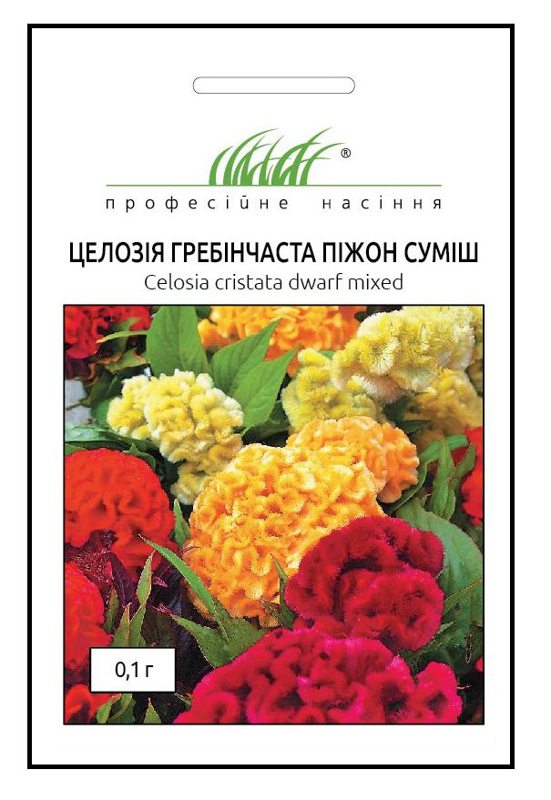 Насіння целозії гребінцевої Піжон, 0.1 г, Hem, Голландія, Професійне насіння 1