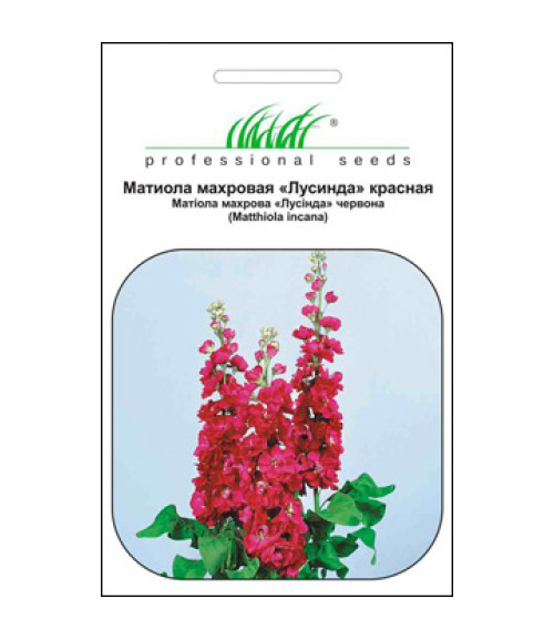 Семена маттиолы Лусинда красная, 0.1г, Hem, Голландия, Професійне насіння 1