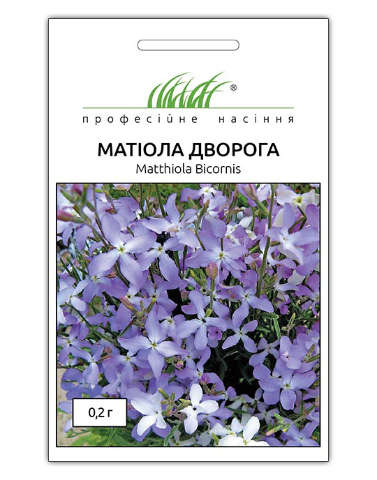 Насіння матіоли дворогої, 0.2 м, Hem, Голландія, Насіння квітів Pro seeds 1