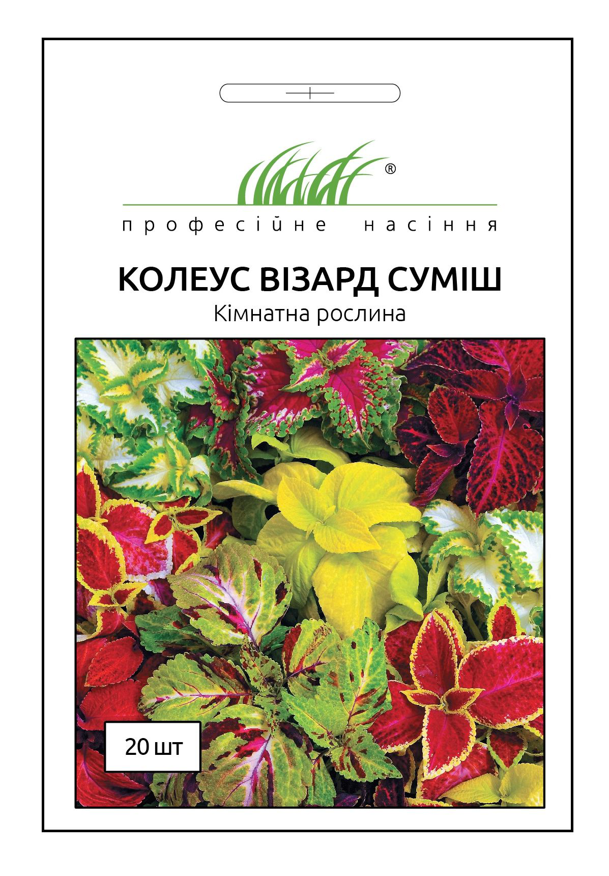 Насіння колеуса Візард, 20 шт, Pan American, США, Професійне насіння 1