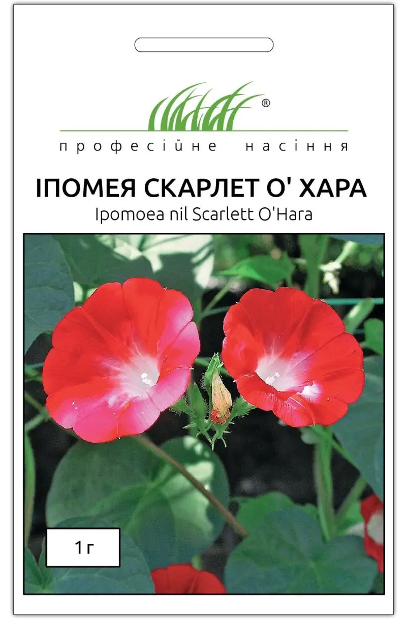 Семена ипомеи Скарлет О'Хара, 1г, Hem, Голландия, Професійне насіння 1