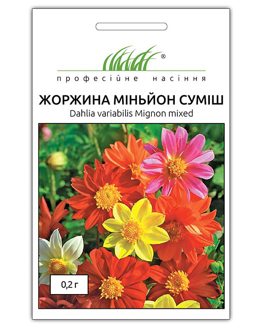 Насіння жоржини Міньйон суміш, 0.2 м, Hem, Голландія, Насіння квітів Pro seeds 1
