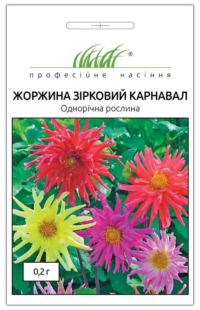 Насіння жоржини Зоряний Карнавал, 0.2 м, Hem, Голландія, Насіння квітів Pro seeds 1