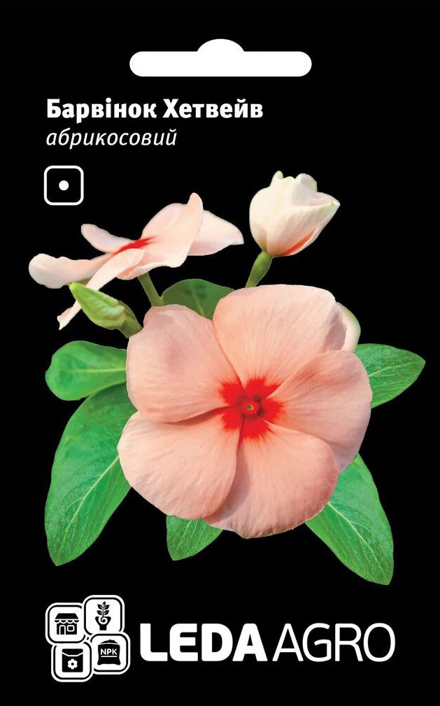 Насіння барвінку Хетвейв, абрикосова, 10 шт, HemGenetics, насіння Леда Агро 1