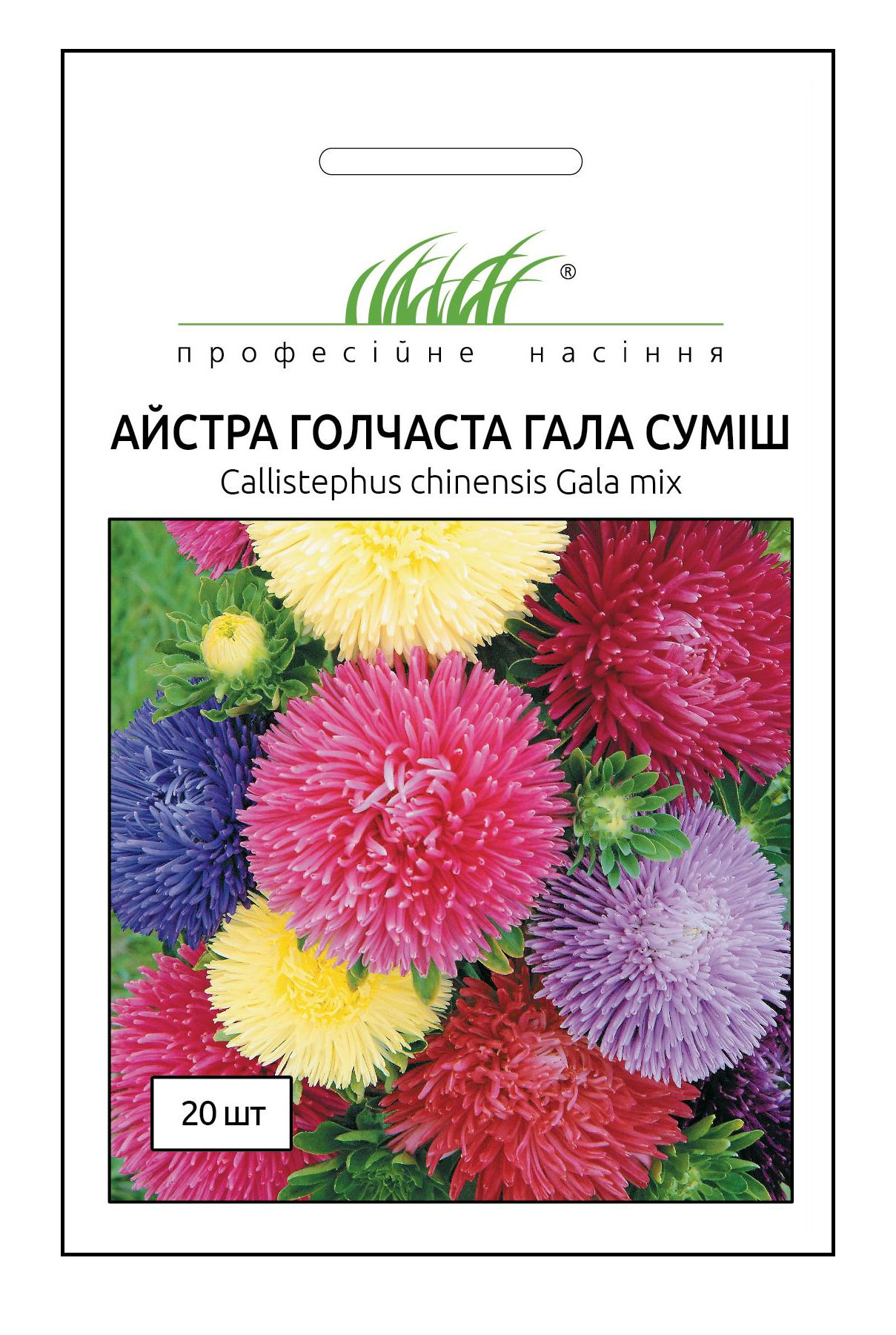 Насіння астри голчастої Гала суміш, 20 шт, Benary, Німеччина, Професійне насіння 1