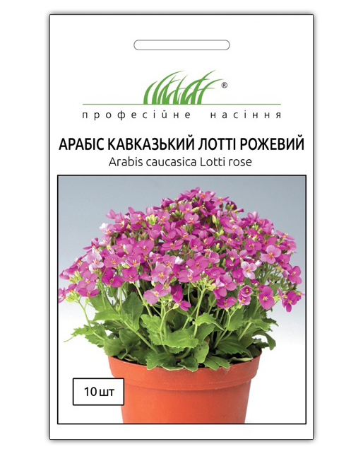 Насіння арабиса кавказького Лотті рожевий, 10шт, Pan American, США, Насіння Pro seeds 1