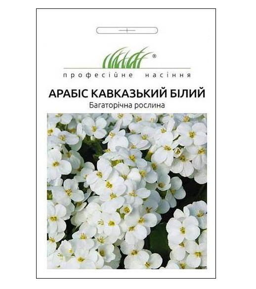 Семена арабиса Шнеехаубэ, 0.1 г, Hem, Голландия, Професійне насіння 1