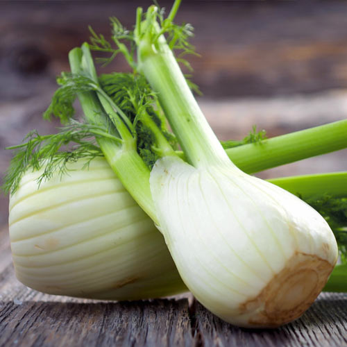 Семена фенхеля овощного Саммер Эрли, 0.5г, Anseme, Италия, Професійне насіння 2