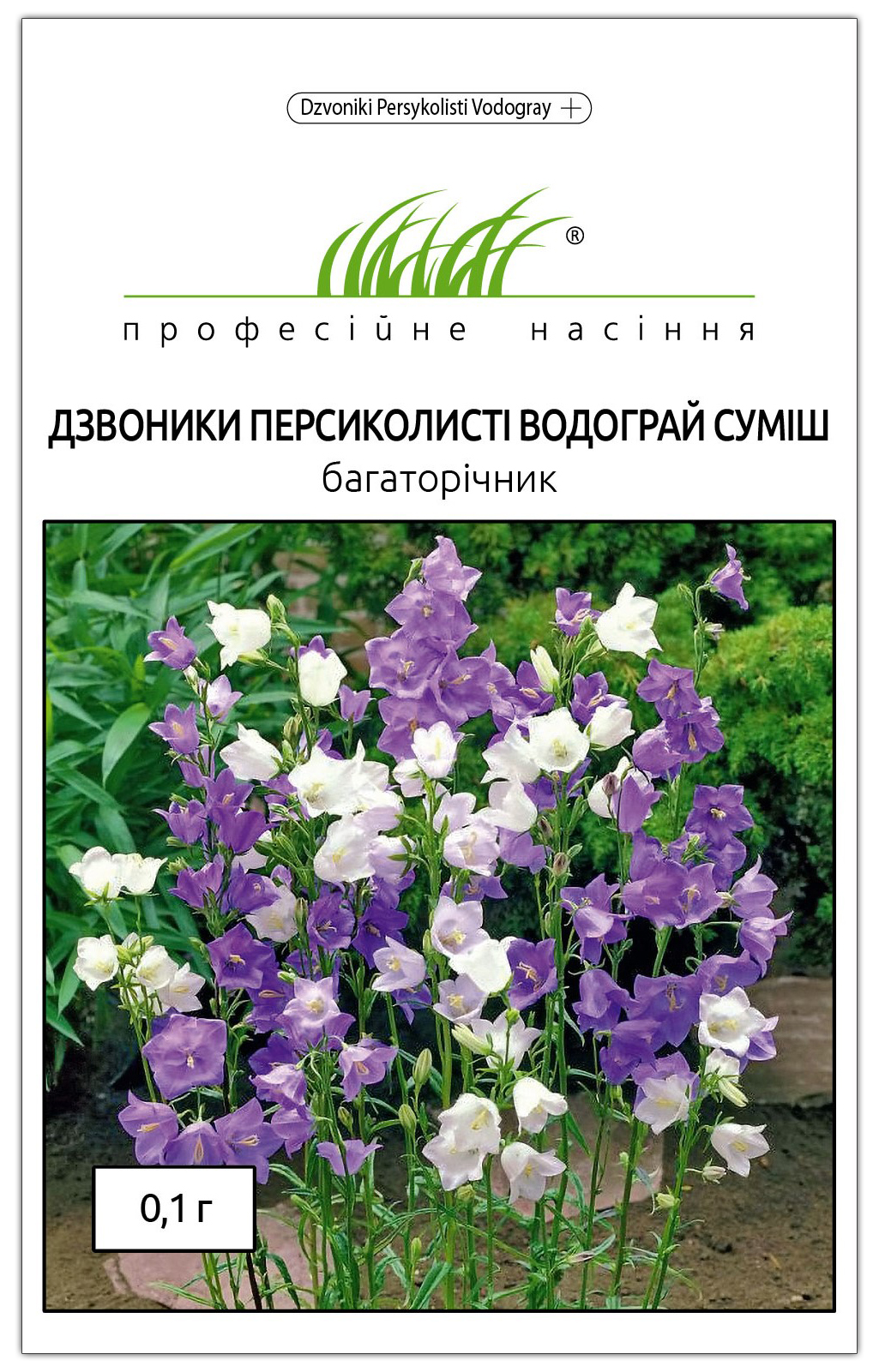 Семена колокольчика Водограй, 0.1г, W.Legutko, Польща, Професійне насіння 1