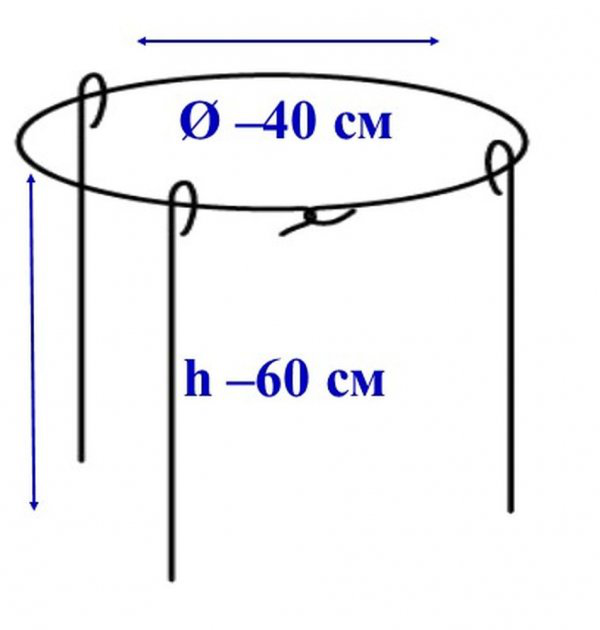 Підтримка металева Elsa для квітів, кругова (ISP4060) 2