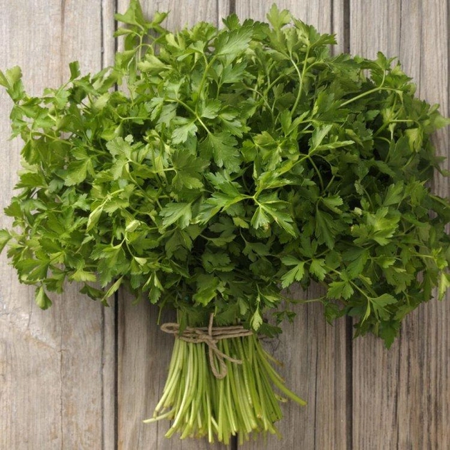 Насіння петрушки Новас, 1г, насіння Леда Агро 2