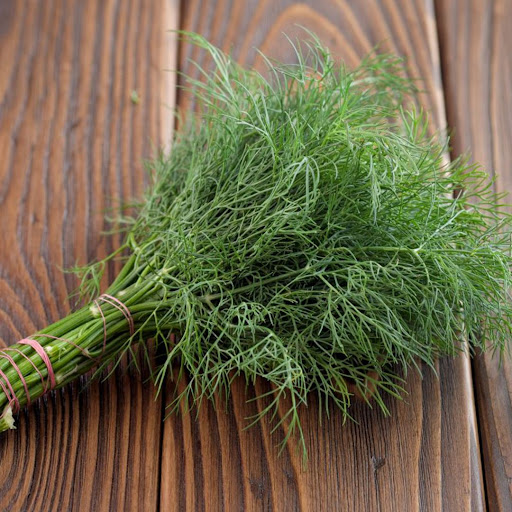 Семена укропа кустового Дукат, 1г, Griffaton, Франция, семена Леда Агро 2