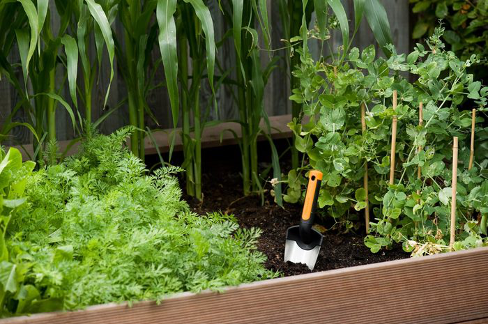 Садовий совок, Fiskars, 137200, 1000726 3