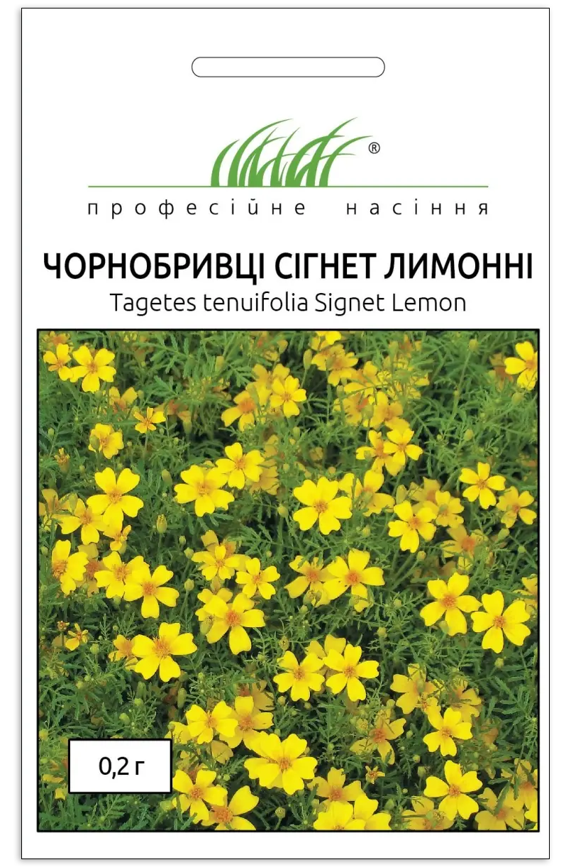 Семена бархатцев мелкоцветных Сигнет, лимонные, 0.2г, Hem, Голландия, Професійне насіння 1