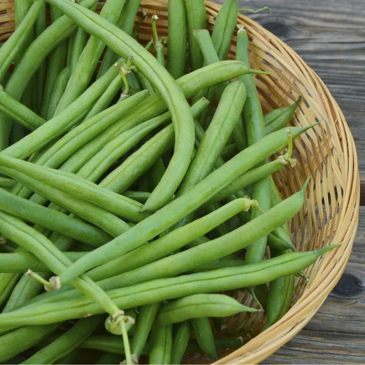 Насіння квасолі Крокет F1, 20 шт, Clause, Франція, Професійне насіння 3