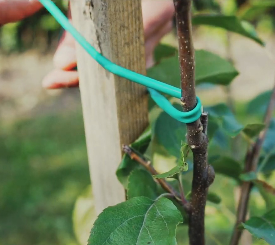 Агро-трубка для подвязки (кембрик) эластичная, D 3мм., 200м, Cordioli 2