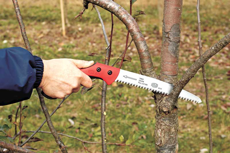 Садова пилка, Felco, 621 4