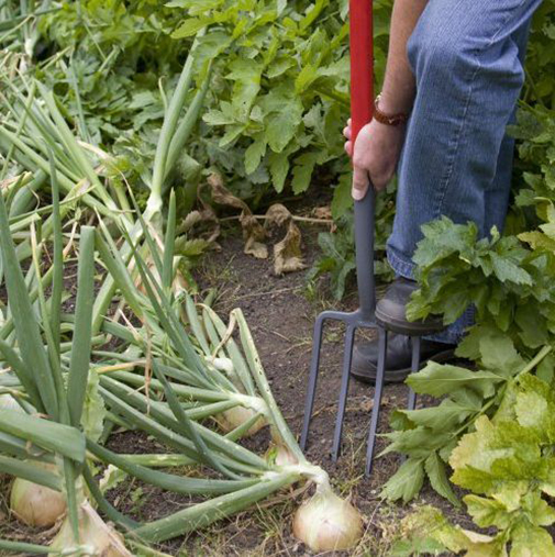 Вила для копання Select, 2990NS/09, Spear & Jackson 2