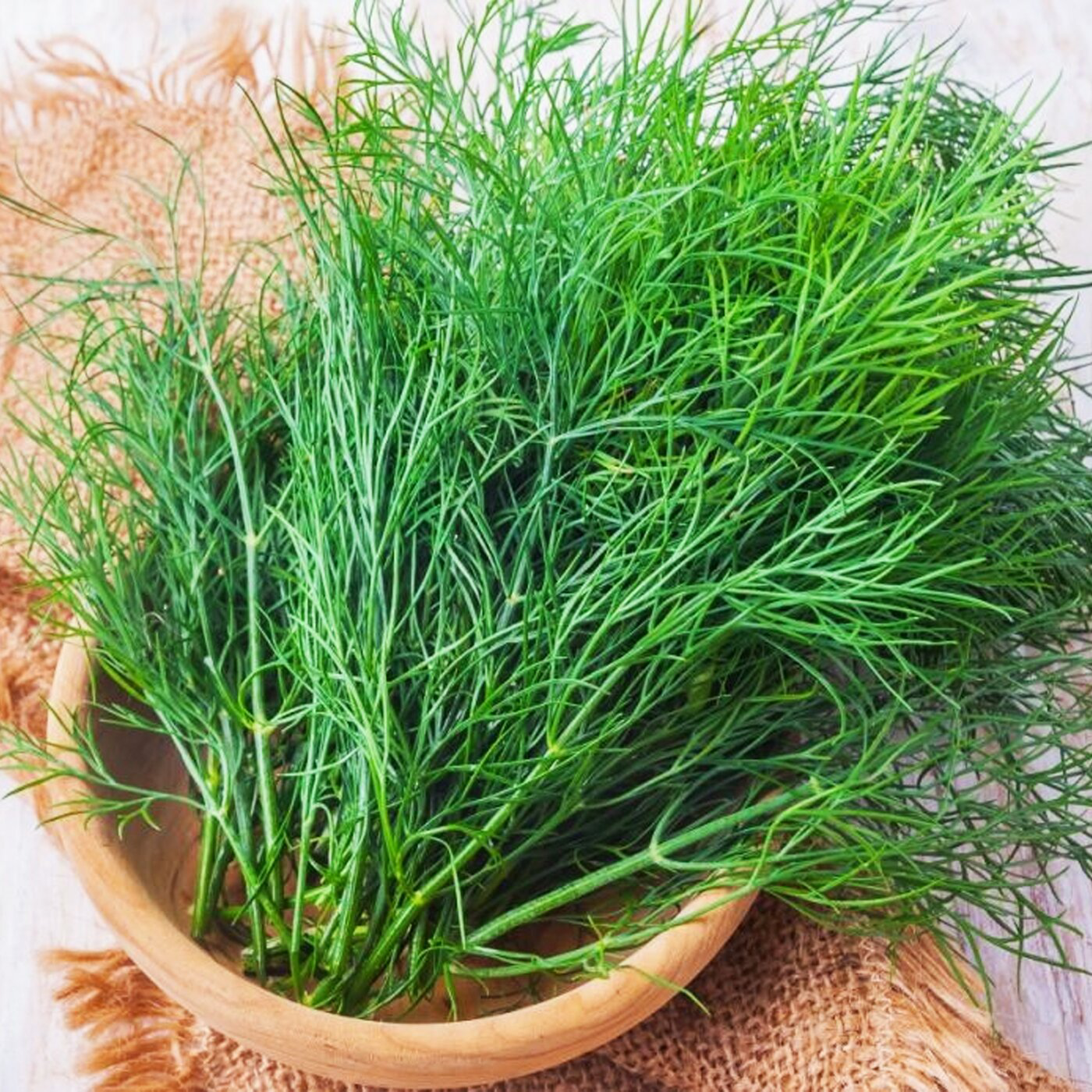 Насіння кропу Кущовий, 3г, Україна, насіння Садиба Центр 2