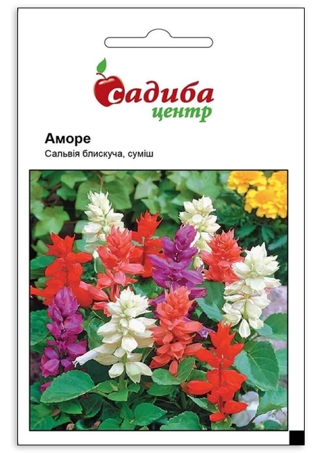 Насіння сальвії Аморе суміш, 20шт, Hem, Голландія, Садиба Центр 1