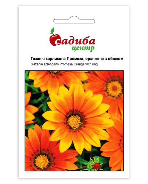 Насіння газании Промеза, помаранчева з обідком, 10шт, Hem, Голландія, Садиба Центр 1