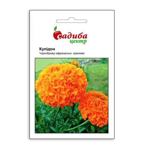 Насіння чорнобривців Купідон помаранчеві, 0.2 м, Hem. Голландія, Садиба Центр 1