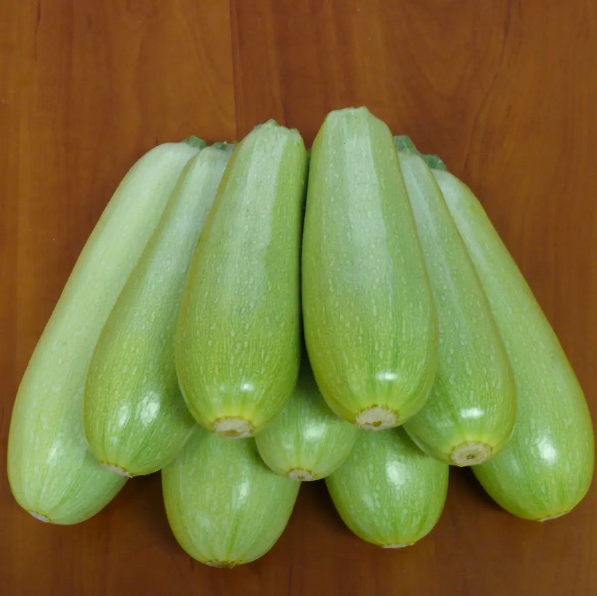 Насіння кабачка Немо F1, 5шт, Lark Seeds, США, насіння Садиба Центр 2