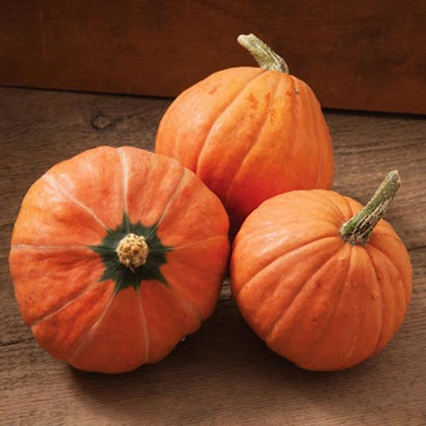 Насіння гарбуза Цукерочка, 10г, Садиба Традиція 2