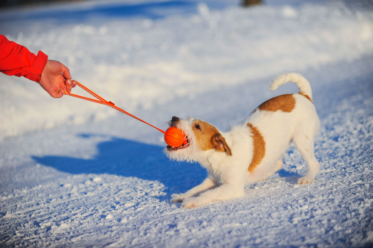 М'ячик Collar Liker Line на стрічці, діаметр 5 см (6286) 3