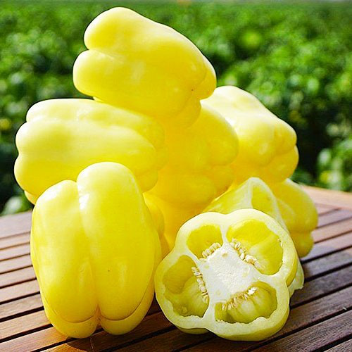 Семена перца Никита F1, 8шт, Clause, Франция, Садиба Центр 2