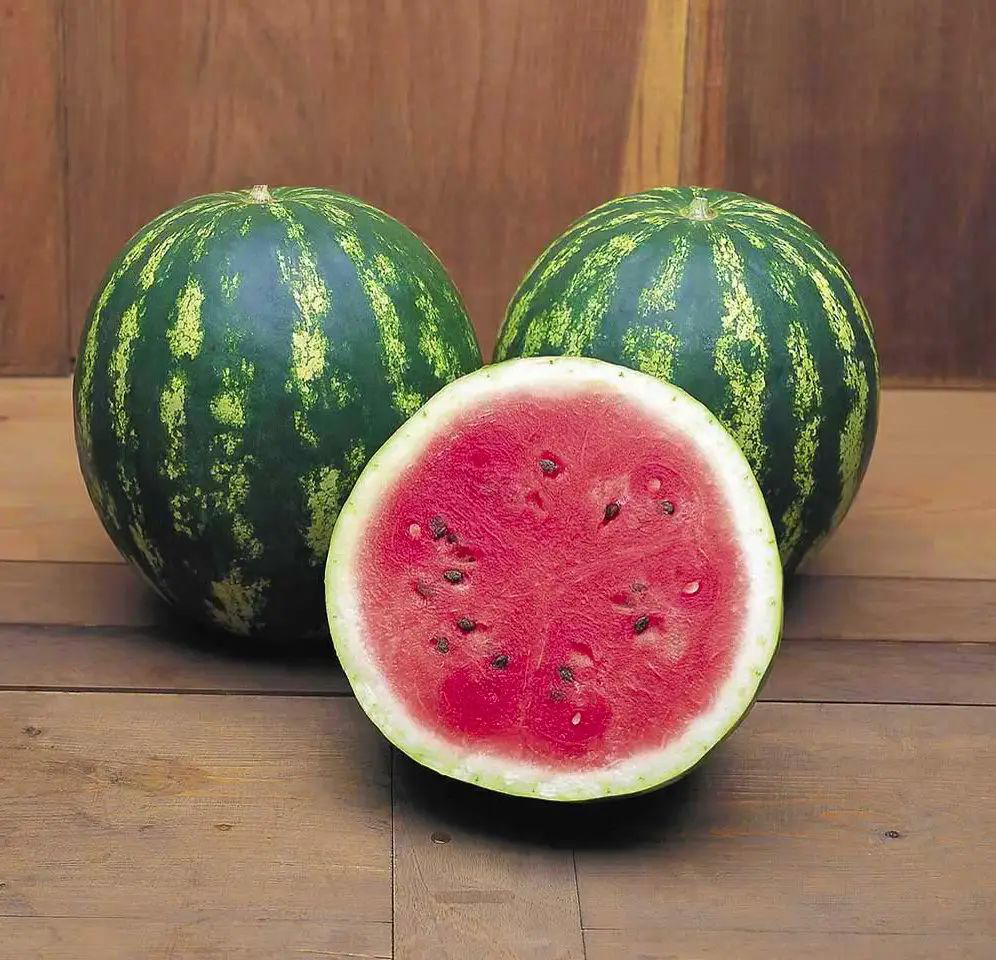 Насіння кавуна круглого Крімсон Світ, 1г, Tezier, Франція, Насіння Pro seeds 2