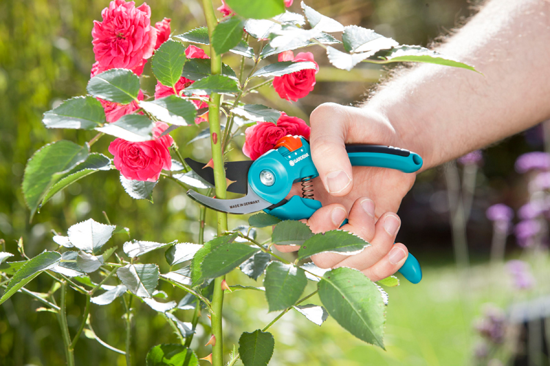 Секатор Gardena B/S-M, Gardena, 08857 3