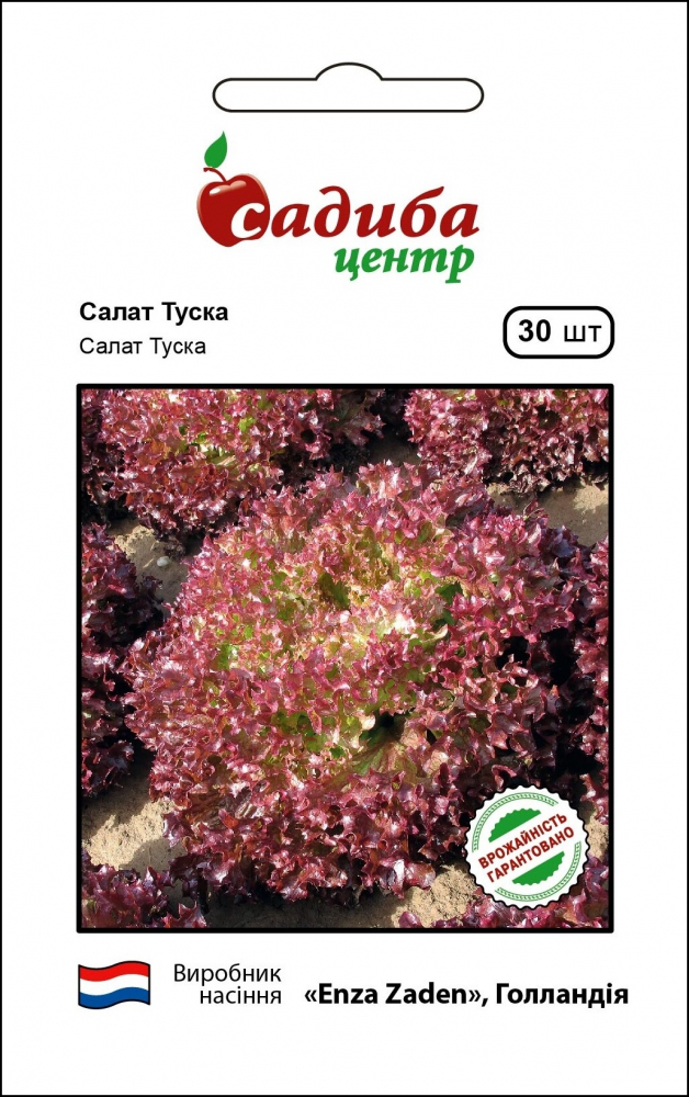 Насіння салату Туска, 30шт, Enza Zaden, Голландія, насіння Садиба Центр 1