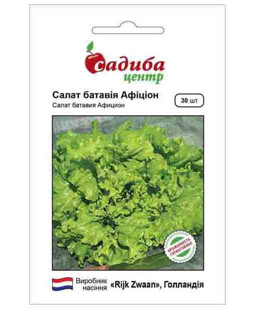 Насіння салату Афицион, 30шт, Rijk Zwaan, Голландія, насіння Садиба Центр 1